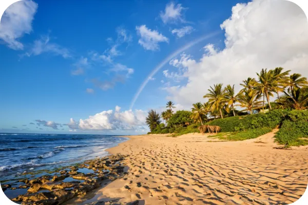 Image of Oahu The best Island to Visit in Hawaii for First Time